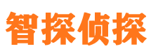 囊谦市调查公司